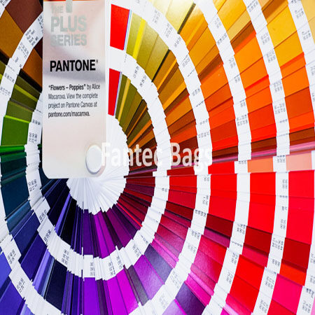 "Pantone color chart fan displaying a wide range of labeled swatches for design and printing consistency."