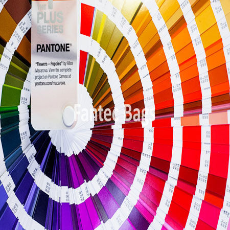 Circular arrangement of Pantone color swatches showing a wide range of hues with printed codes